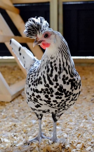 Meet your Posher, Kathleen - Picture 8 of 16